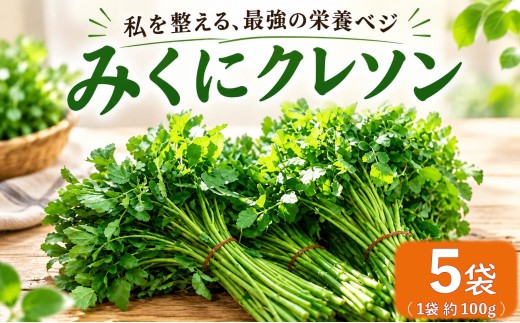 クレソン 100g × 5袋 美容 健康 野菜 スーパーフード 野菜 茨城県産 国産野菜 国産 茨城県 筑西市 筑西 関東 三国園 みくにクレソン mkn001