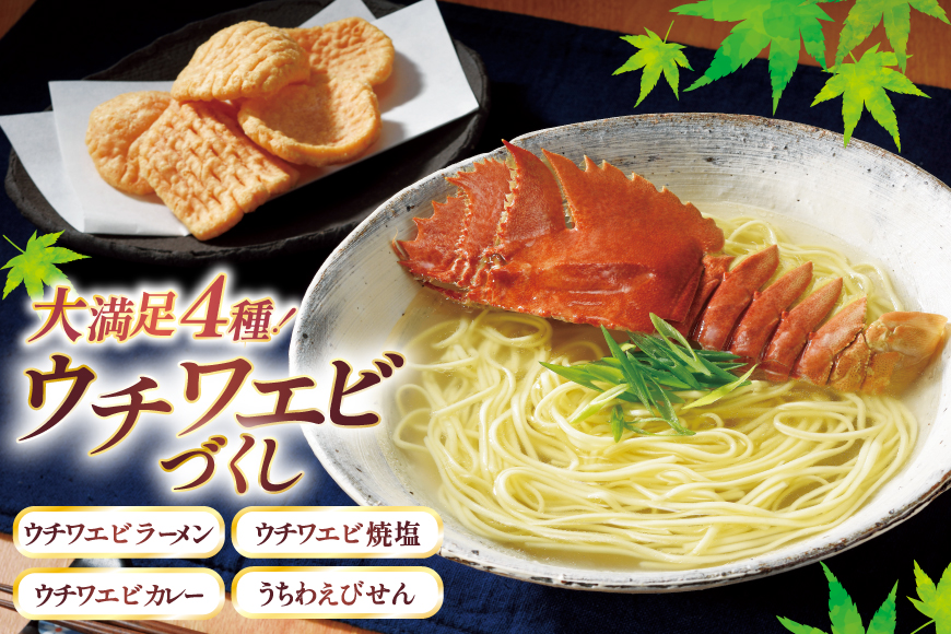 4種のウチワエビづくし  [ひらど新鮮市場 長崎県 平戸市 hr42bgy400030] うちわえび カレー ラーメン えびせん 塩 詰め合わせ エビ えび 海老 焼き塩 焼塩 お菓子