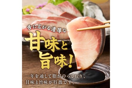 魚屋が捌く寒ブリ約1kg切り身　ロイン（6ブロック）冷凍