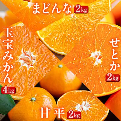 ふるさと納税 八幡浜市 【発送月固定定期便】「蜜時(みつどき)便り」愛媛限定のまどんなや甘平も届きます【H64-92】全4回