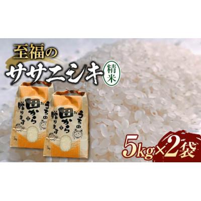 ふるさと納税 新庄市 至福のササニシキ5kg×2袋 (10kg)