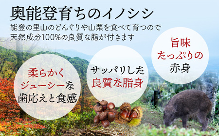 能登 穴水産 天然猪肉 ヒレ コロコロカット 約500g | いのしし 肉 天然