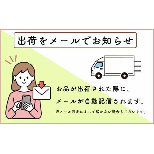 【通年12回定期便】佐賀牛季節のオススメ定期便 ファミリー向け 牛肉 黒毛和牛 極上の佐賀牛 厳選 500000円 50万円 お肉 おにく ギフト プレゼント 贈り物 N500-8_イメージ3