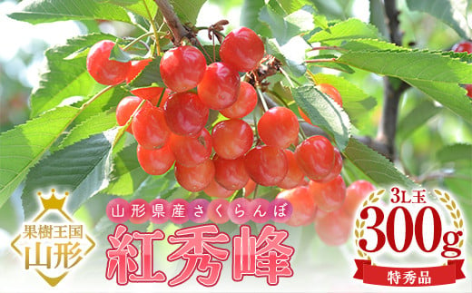 
            【令和7年産 先行予約】山形県産さくらんぼ 紅秀峰 特秀 3L玉 300g 鏡詰め 化粧箱入り FSY-1096
          