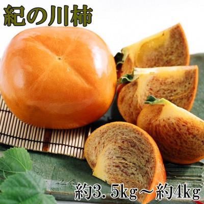 ふるさと納税 紀の川市 【和歌山の名産】紀の川柿(種無し・黒あま柿)約3.5〜4kg・秀品(紀の川市)