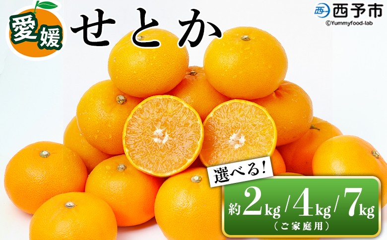 
                  愛媛県西予市産 せとか ご家庭用 約2kg／4kg／7kg　訳あり 不揃い 傷 果物 フルーツ みかん ミカン 蜜柑 セトカ オレンジ 柑橘類 選べる 甘い 期間限定 食べて応援 特産品 宇都宮物産 【常温】『2026年2月下旬～4月中旬迄に順次出荷予定』
                