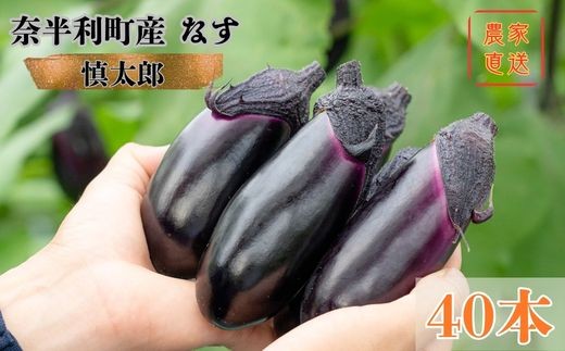131002　奈半利町の茄子【慎太郎】40本  ナス なす 産地直送 野菜 箱入り 新鮮