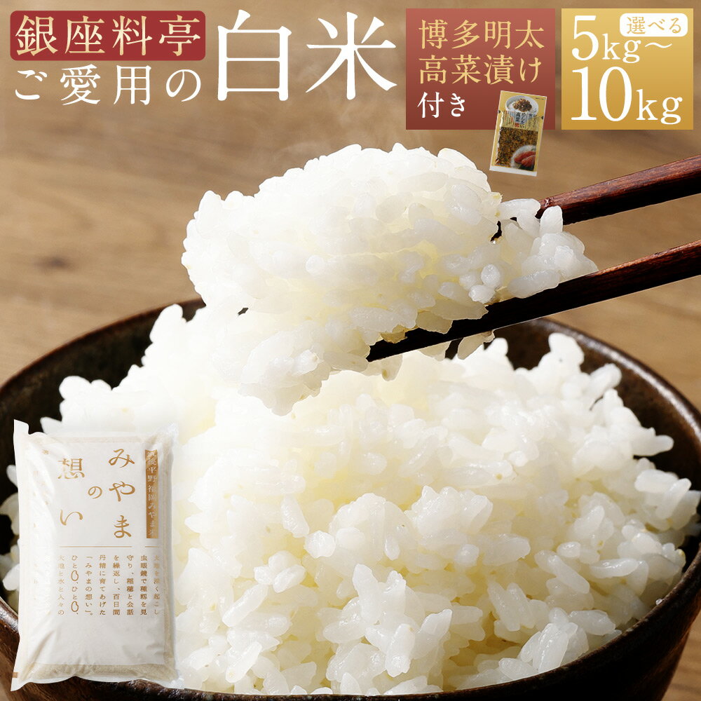 【ふるさと納税】【銀座料亭ご愛用の白米】＜選べる＞ 5～10kg 博多明太高菜漬け 2～6袋 セット 福岡県産 ご飯 白米 米 精米 美味しい 九州 おむすび 和食 高級 送料無料 令和7年産 A246 A247 B45