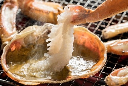 【22013】鳥取県網代産　訳あり松葉がに　親がに　夫婦セット（生）