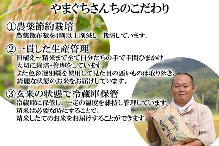 ＜ 定期便 6回 ＞ 北海道産 希少米 おぼろづき 白米 5kg 北海道 新ひだか町