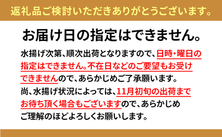 北海道 無添加塩水 ウニ 100g 3パック 2月中旬～3月中旬ごろまで順次出荷 バフン ムラサキ うに 雲丹 海鮮 小川商店 