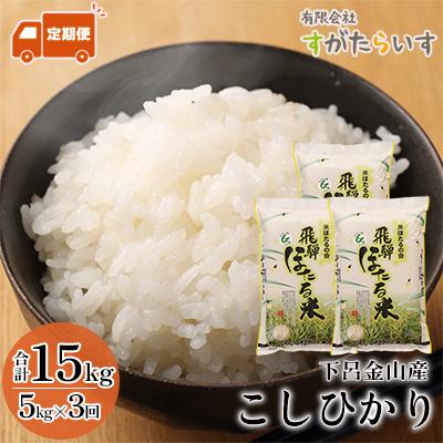 ふるさと納税 下呂市 令和7年産米【定期便】こしひかり 5kg×3回 すがたらいす 下呂市 米【51-C】