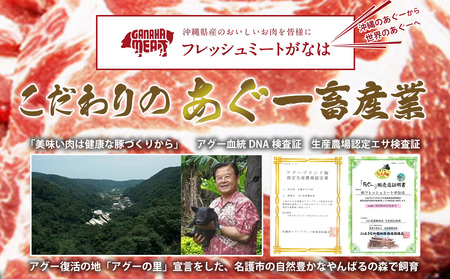 絶品！沖縄県産やんばる島豚あぐー豚100％ 肉汁たっぷりハンバーグ　（150g×10個）