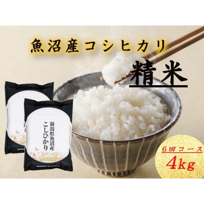 ふるさと納税 十日町市 【毎月定期便】魚沼産コシヒカリ　精米4kg(2kg×2袋)全6回