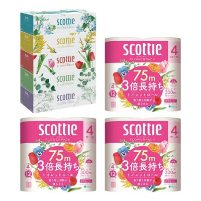 ふるさと納税 八代市 【毎月定期便】【スコッティ】ティシュー 5箱P×1+トイレット 4ロール(ダブル)P×3全3回 |  | 01