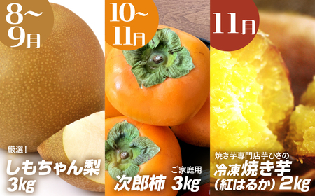 穂の国 秋の味覚 定期便 全3回フルーツ定期便 定期便