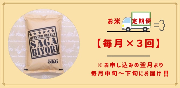 CI669　【玄米】さがびより１０kg（５kg×２袋）【３回定期便