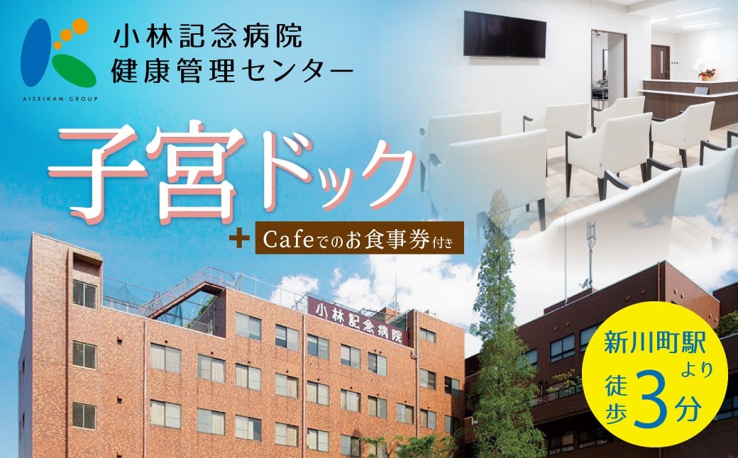 
            小林記念病院子宮ドック 利用券 1名様分　子宮 卵巣 MRI 子宮頸部細胞診 HPV ヒトパピローマウイルス 子宮内膜症 女性 券 チケット ギフト 贈り物 愛知県 碧南市 H203-003
          