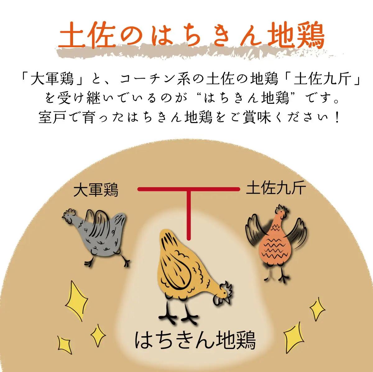 土佐の地鶏『はちきん地鶏』むね肉２ｋｇ バーベキュー BBQ キャンプ キャンプ飯 焼肉 焼き肉 低カロリー 高タンパク 高たんぱく