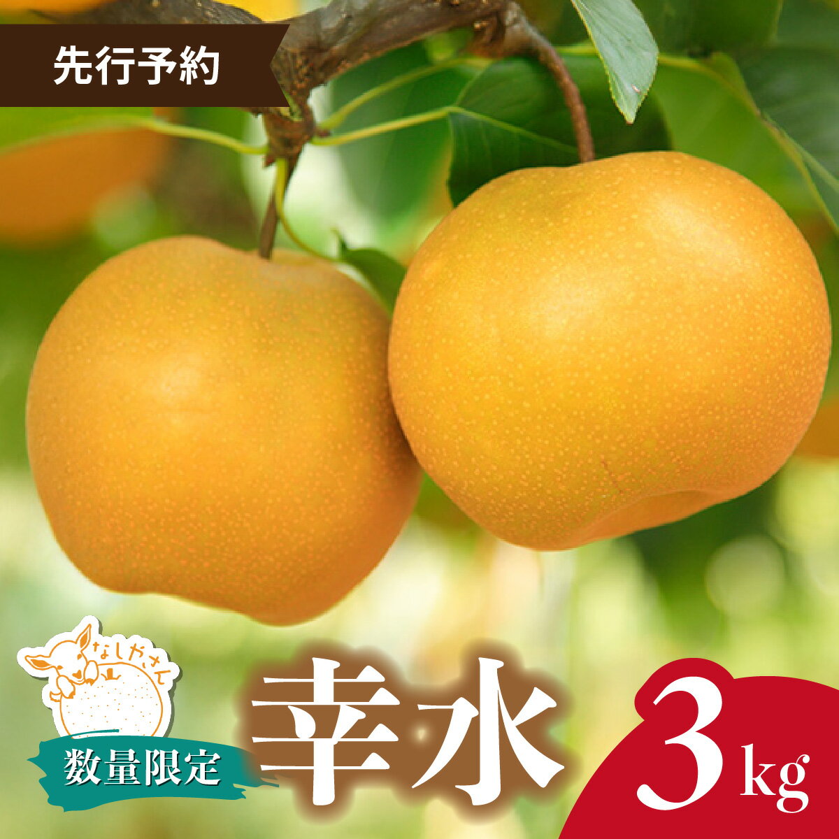 【ふるさと納税】＜先行予約 / 限定5箱＞ 梨 幸水 約3kg(6～9個入り) 東松山市産 | なし ナシ こうすい 果物 フルーツ 新鮮 自然栽培 農園直送 産地直送 農家直送 限定 期間限定 数量限定 贈答 贈り物 プレゼント ギフト 旬 甘い デザート なしやさん 埼玉県 東松山市