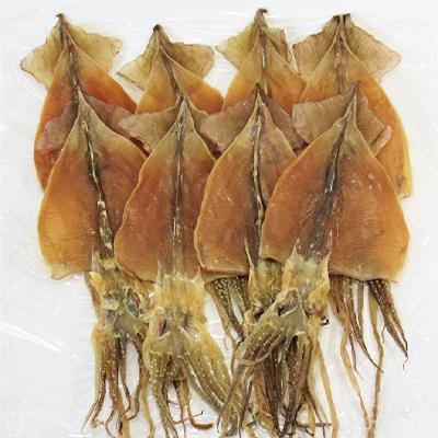 ふるさと納税 せたな町 スルメ8枚セット |  | 01