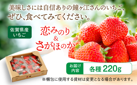 ＜先行予約！赤いちごセット＞恋みのり・さがほのか 各220g 詰め合わせセット / イチゴ 苺 フルーツ 果物 / 佐賀県/鐘ヶ江農園[41ASBK008]