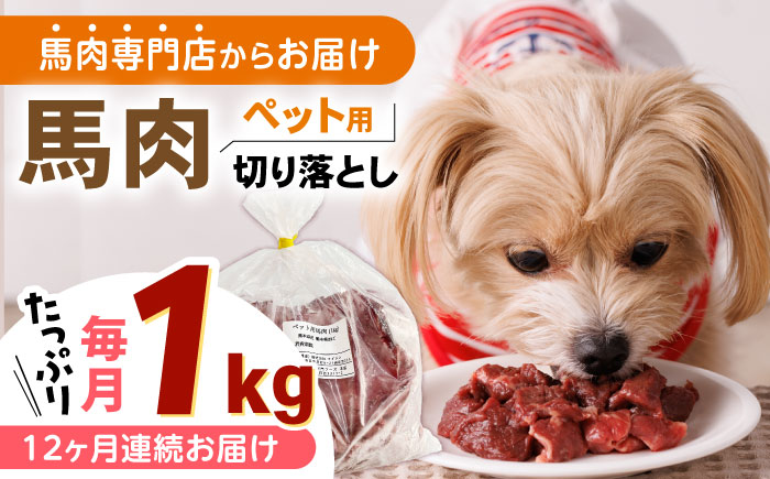 【全12回定期便】国内加工 ペット用 馬肉 切り落とし 1kg ペットフード 【五右衛門フーズ】 [YBZ062]