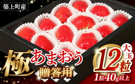 あまおう 12粒 【1月中旬以降順次発送】 あまおう [ABAG006] 