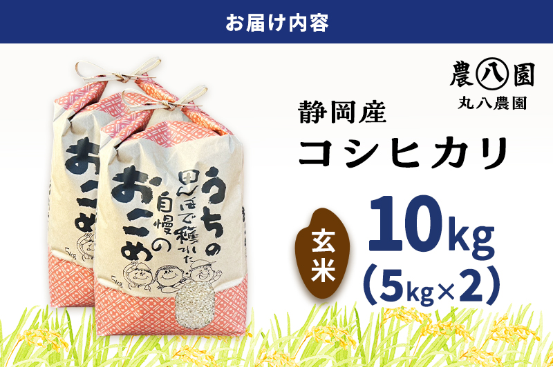 お米 令和7年度産静岡産コシヒカリ玄米5kg×2 米 コメ こしひかり コシヒカリ 玄米 袋井市 静岡県