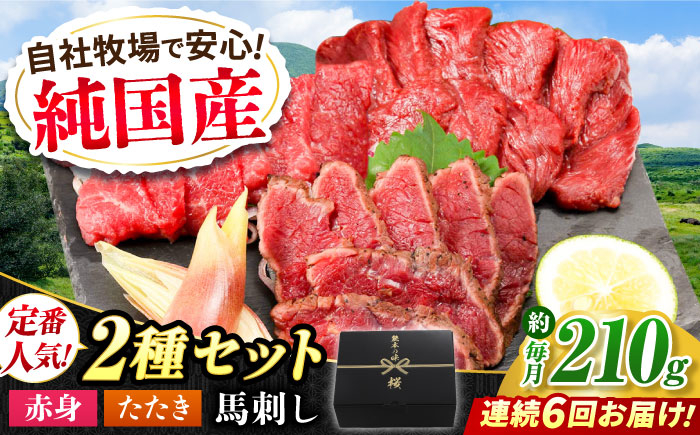 
                  【全6回定期便】『純国産』熊本の味 馬刺し 入門 2種 セット 計約210g（2〜3人前）/ 熊本 馬刺し ばさし バサシ 冷凍 馬さし 赤身 タタキ 国産 合志 【有限会社 九州食肉産業】 [AYCN102]
                