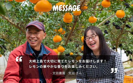 芳醇! 文田農園のレモン 約3kg 【2027年 2～3月発送】