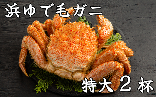 52-10 流氷明け浜ゆで毛ガニ　特大2杯