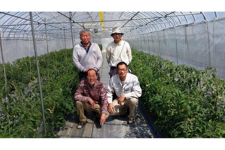 京丹後産・京トマト 4kg（12～24玉） 春夏発送