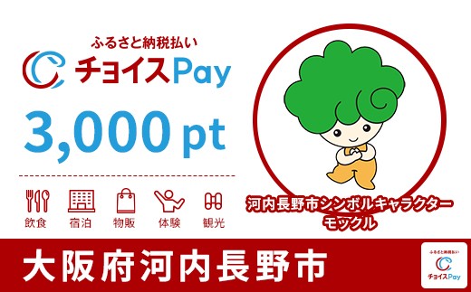 
            河内長野市チョイスPay 3,000pt【会員限定のお礼の品】
          