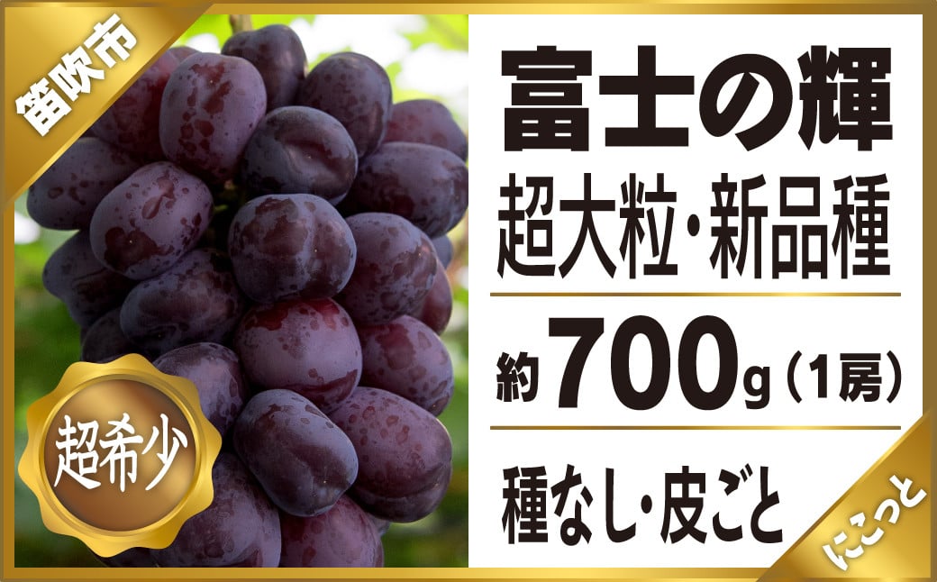 
            ＜25年発送先行予約＞富士の輝1房約700g　 097-009 ｜ぶどう 葡萄 笛吹市 ブラック ブラックシャインマスカット 希少 希少品種 富士の輝 700g にこっと 新鮮 こだわり 皮ごと 種なし 種無し 高級 大粒 大粒品種 ジューシー シャイン マスカット 産地 発送 期間限定 国産 山梨県産 山梨県笛吹市 1房 富士 輝 高糖度 ｜
          