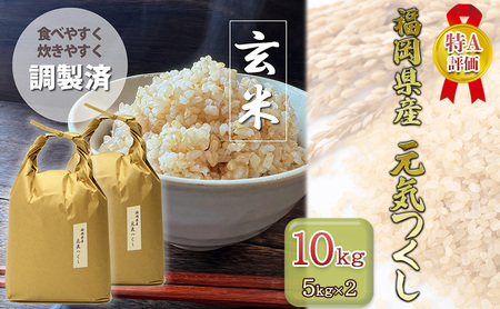 R7年産 玄米 10kg (5kg×2袋)  元気つくし 福岡県産 R7年産