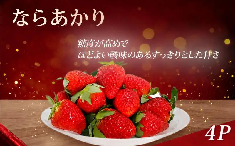 いちご ならあかり 260g×4P【R9年1月～発送】いちご