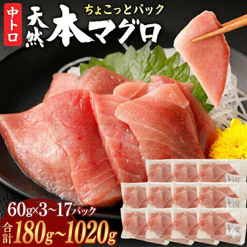【ふるさと納税】 天然本まぐろ 中トロ 切り落とし 60g×3～17パック お手軽 本鮪 鮪 切落し きりおとし 訳あり わけあり 規格外 お刺身 お刺し身 おさしみ 魚介類 海鮮 小分け 魚 天然まぐろ 漬け丼 マグロ 簡単調理 惣菜 冷凍 人気 ランキング 1万円 10000円 高知県 室戸市