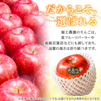 【品評会最高賞の福士農園からお試し品をお届け】糖度13度以上保証!「サンふじ」訳あり りんご【配送不可地域：離島・沖縄県】