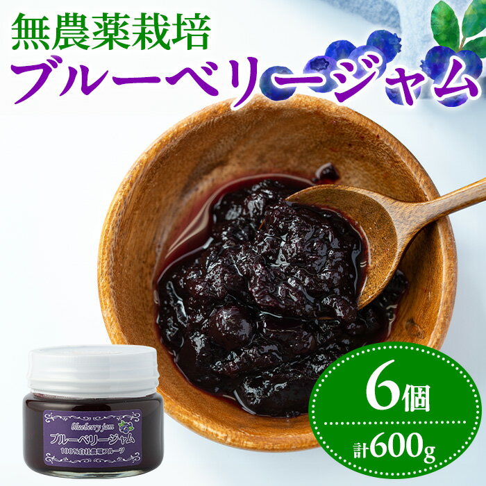 【ふるさと納税】贅沢な国産ブルーベリージャム(100g×6個・計600g)ジャム 瓶 果物 果実 フルーツ パン【村山製油】【12161】