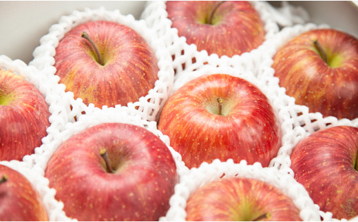 08-06-038　大玉りんご(サンふじ)3kg