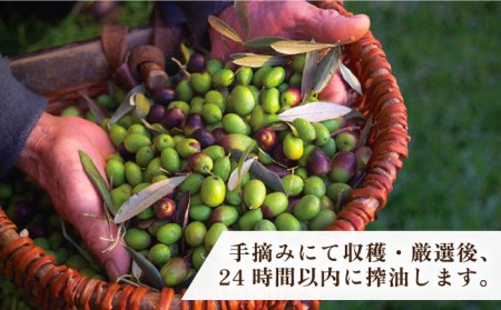 ikicael ハンドクリーム 50g 《壱岐市》【壱岐オリーブ園】 ギフト プチギフト 保湿 [JDU020] 12000 12000円