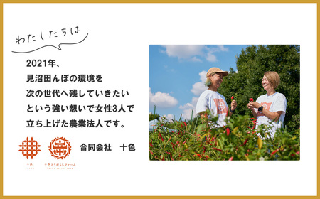 【十色とうがらしファーム】とうがらし　＜激辛＞品種詰合せ　【11100-0806】