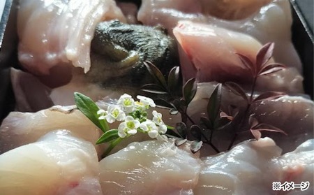 熟成とらふぐ【冬の王】(二人前)　配送：2月28日まで