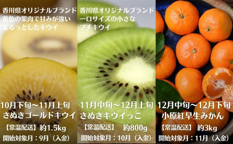 定期便  観音寺からのフルーツ定期便 年12回【せとか 約3kg（7～15玉）、さぬきひめ苺 約1kg（約250g×4パック）、貯蔵デコポン 約2kg（5～10玉）、スイートコーン（7～10本） 約2.8kg、桃 約1.8kg（5～9玉）、梨（幸水又は豊水） 約2.8kg（7～10玉）、シャインマスカット 大房約700g、ゆら早生みかん （L～Sサ