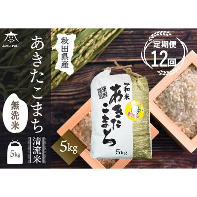 ふるさと納税 秋田市 《定期便12ヶ月》秋田市雄和産あきたこまち 清流米 5kg 【無洗米】|15_akn-dd0512m