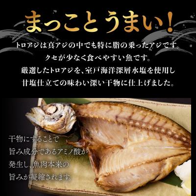 ふるさと納税 室戸市 トロ鯵(アジ)の干物セット(海洋深層水仕込み)　あじ干物 |  | 01