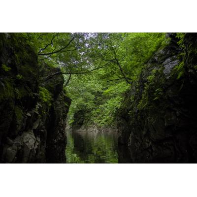 ふるさと納税 長井市 秘境三淵渓谷の天然純粋蜂蜜「春のはちみつ」_E123 |  | 02