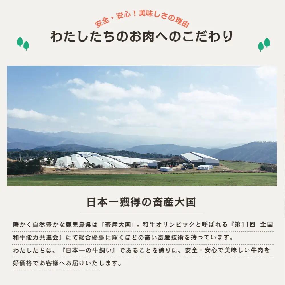 【厳選部位】A5等級 鹿児島県産 黒毛和牛 しゃぶしゃぶ・すき焼き用スライス 400g お肉 牛肉 すきやき すき焼き しゃぶしゃぶ 小分け 冷凍 カミチク