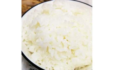 米 精米 10kg 伊予あぐり米「コシヒカリ」 令和7年産 米 農薬・化学肥料不使用 米 精米 令和7年産 米 お米 こめ 農薬・化学肥料不使用 こだわりのお米 愛媛県 松前町 松前 まさき 愛媛 え